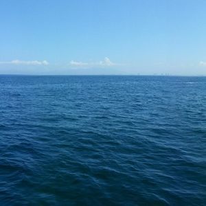 Meet your Posher, Rocio