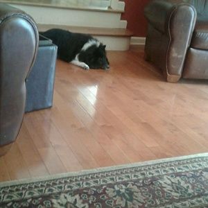 Meet your Posher, Myrlande