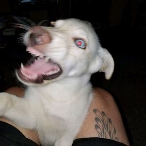 Meet your Posher, Carolyn