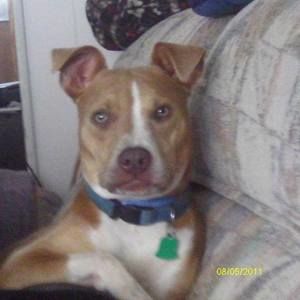 Meet your Posher, Becky