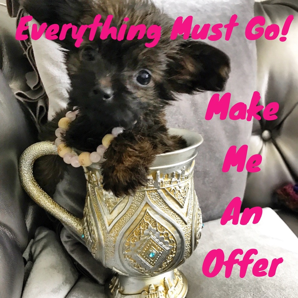 Everything must go! No reasonable offers refused!