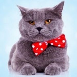 Meet your Posher, Paola