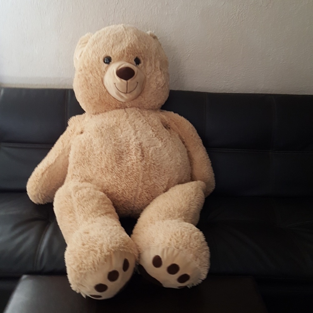 Big fluffy bear