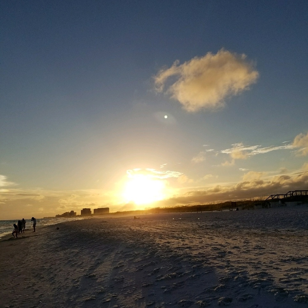 Meet your Posher, Felecia