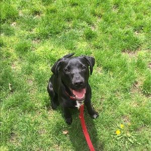 Meet your Posher, James