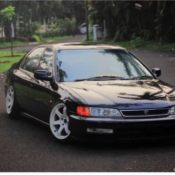 Meet your Posher, George - Picture 1 of 1