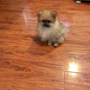 Meet your Posher, Linda