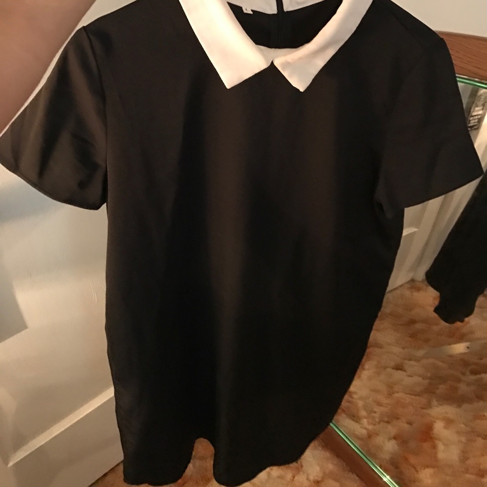 Peter Pan Contrast Dress