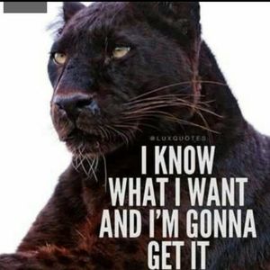 Meet your Posher, Johnny