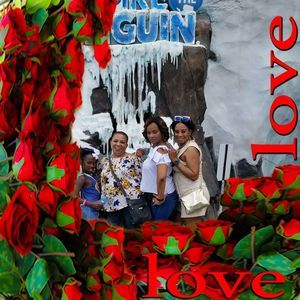 Meet your Posher, Norma