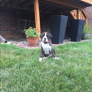 Meet your Posher, Grace