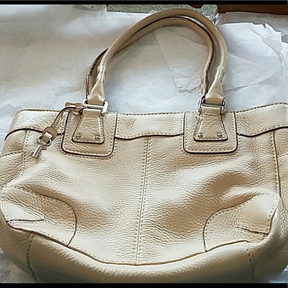 Fossil Tote