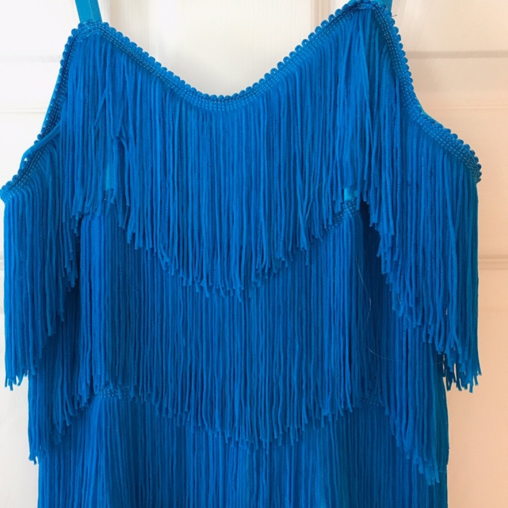 Blue Gatsby fringe dress