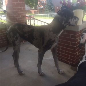 Meet your Posher, Chris