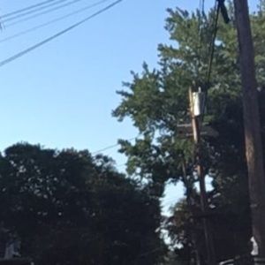 Meet your Posher, Maya