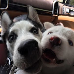 Meet your Posher, Catherine