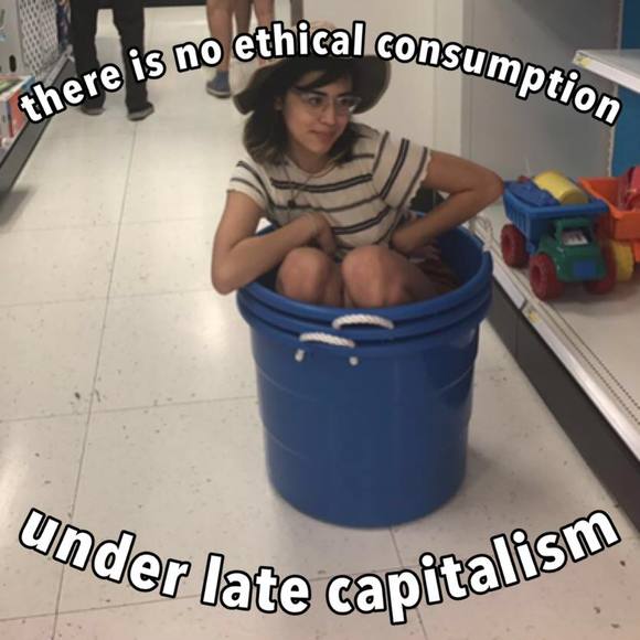 Meet your Posher, Avery - Picture 1 of 1