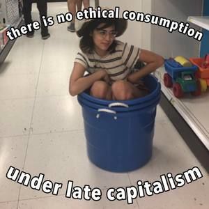 Meet your Posher, Avery