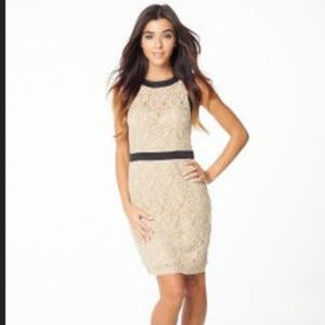 BCBG "Maddy" nude knit cocktail dress