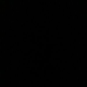 Meet your Posher, Timothy