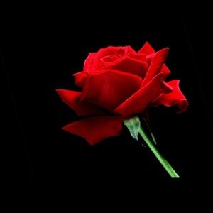 Meet your Posher, Ayan