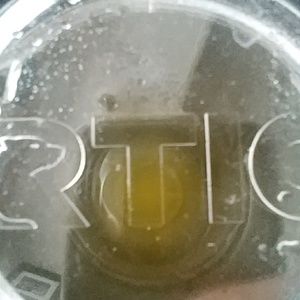 Meet your Posher, Hayden