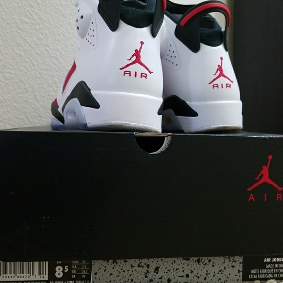 Jordan Carmine 6\'s