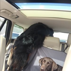 Meet your Posher, Nancy