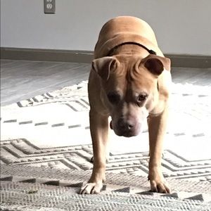 Meet your Posher, Jared