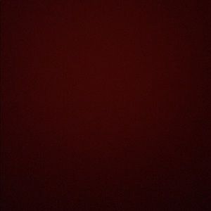 Meet your Posher, Camille