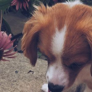 Meet your Posher, Lydia