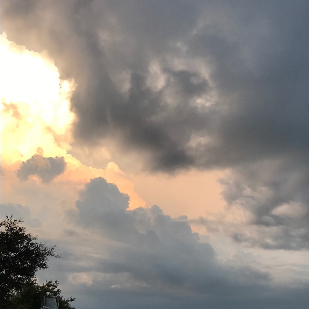 Meet your Posher, Donald