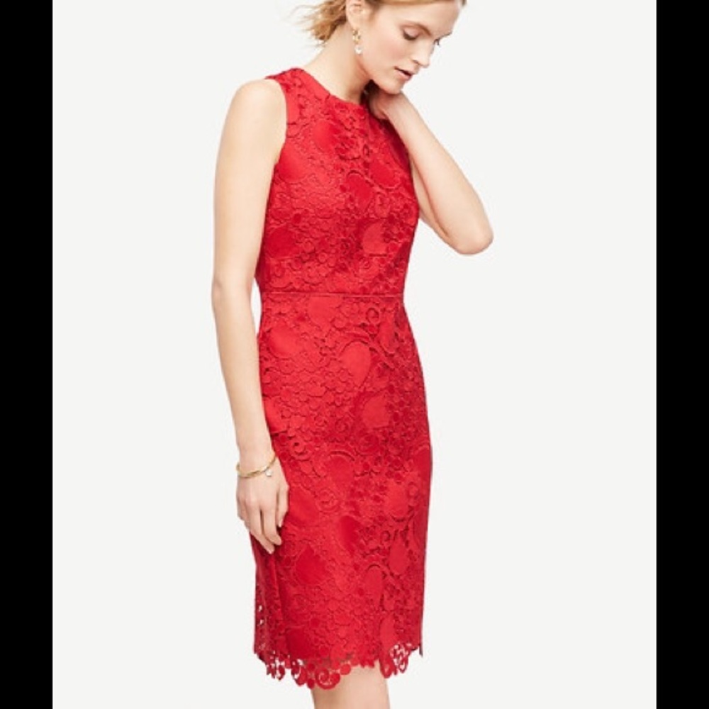 Ann Taylor spring sheath lace dress