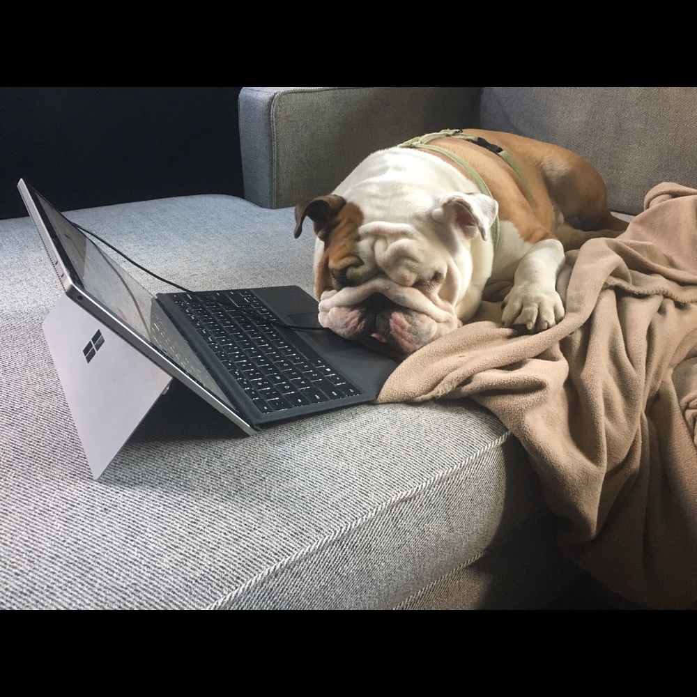 Meet your Posher, Brianne