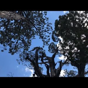 Meet your Posher, Sean