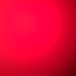 Meet your Posher, Rudie