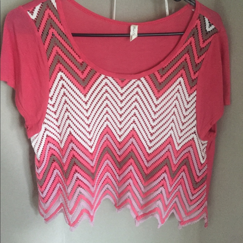 Netted front crop top