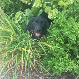 Meet your Posher, Kara