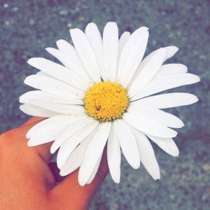 Meet your Posher, Sam