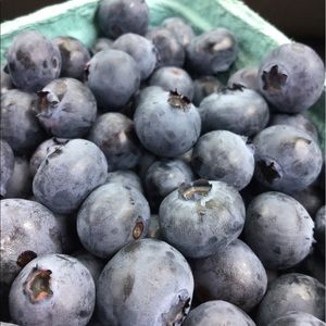 Meet your Posher, Bob