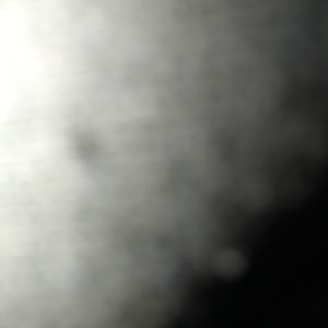 Meet your Posher, Janari