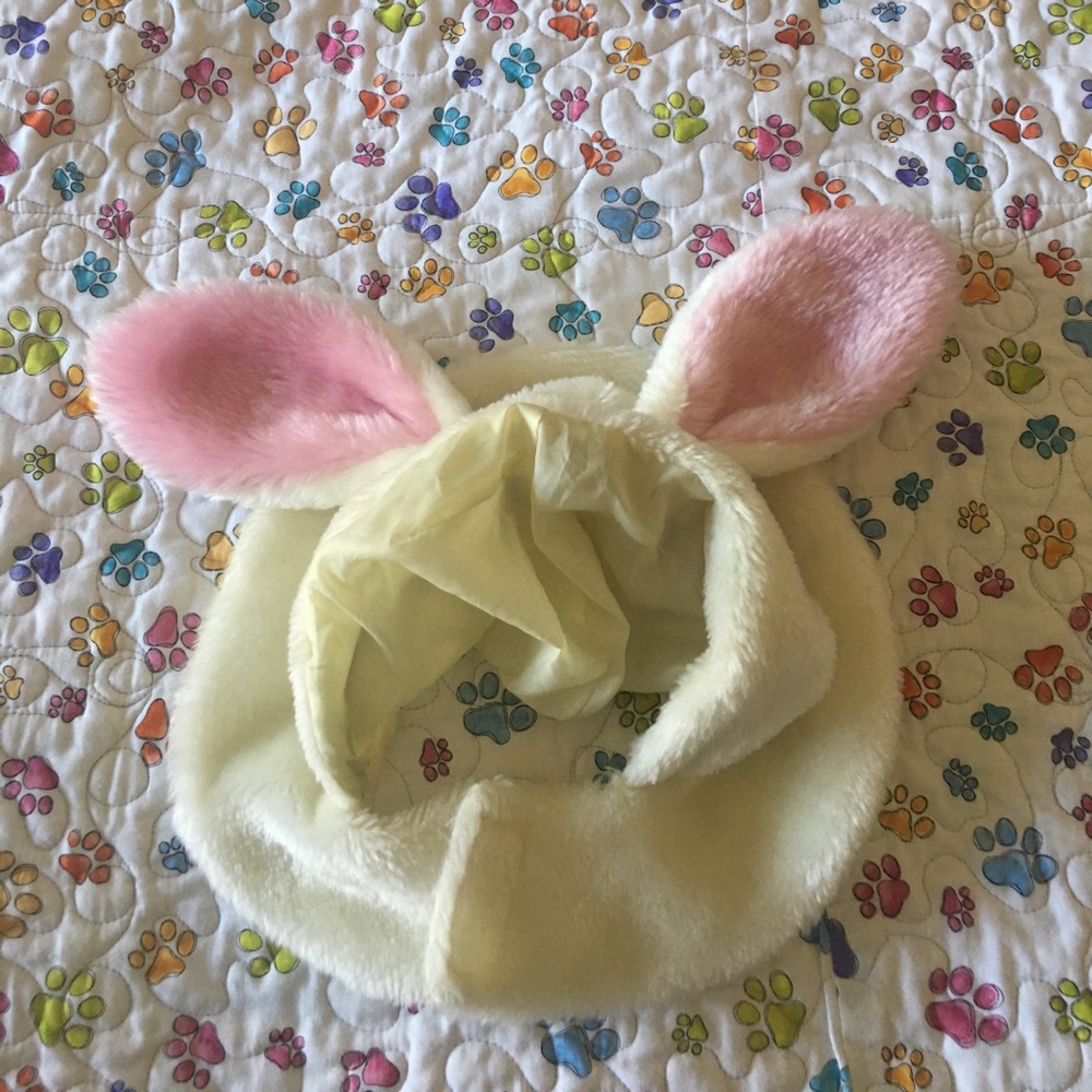 🐶🐶Adorable Easter Dog Bunny Ears🐶🐶