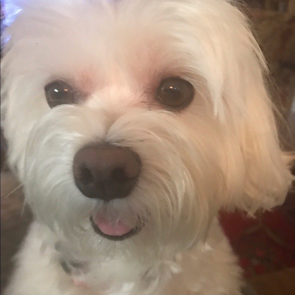 Meet your Posher, Nazlie