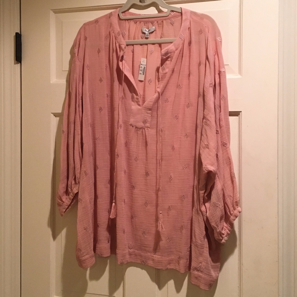 Blush Madewell Blouse
