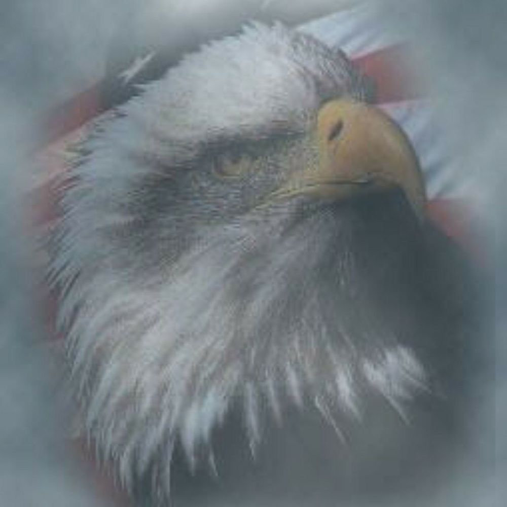 Meet your Posher, Samuel