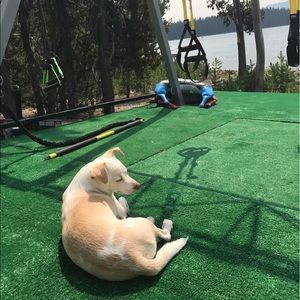 Meet your Posher, Kayanna