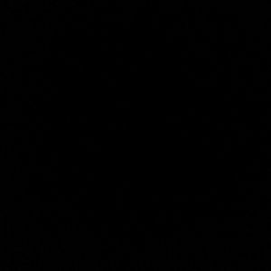 Meet your Posher, Adela