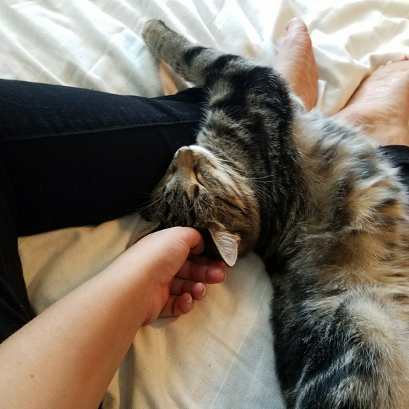 Meet your Posher, libby - Picture 3 of 4