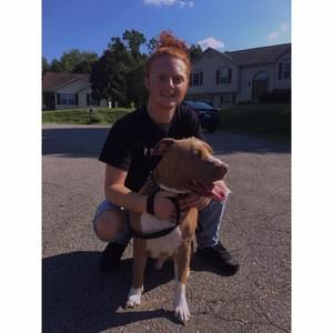 Meet your Posher, William