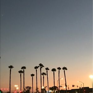 Meet your Posher, Sarahi